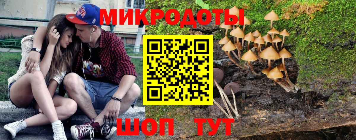 Галлюциногенные грибы прущие грибы Нерюнгри