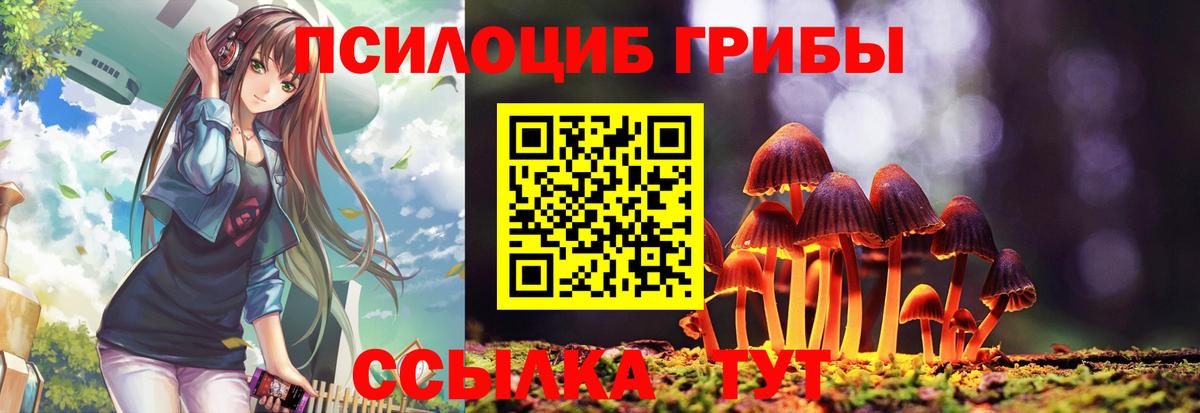 Галлюциногенные грибы GOLDEN TEACHER  Вход с VPN  Нерюнгри  дарнет шоп  Галлюциногенные грибы Cubensis 